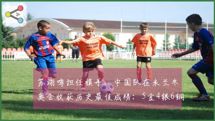 苏翊鸣担任旗手，中国队在米兰冬奥会收获历史最佳成绩：5金4银6铜