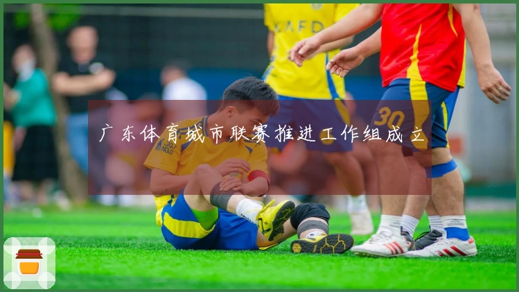 广东体育城市联赛推进工作组成立