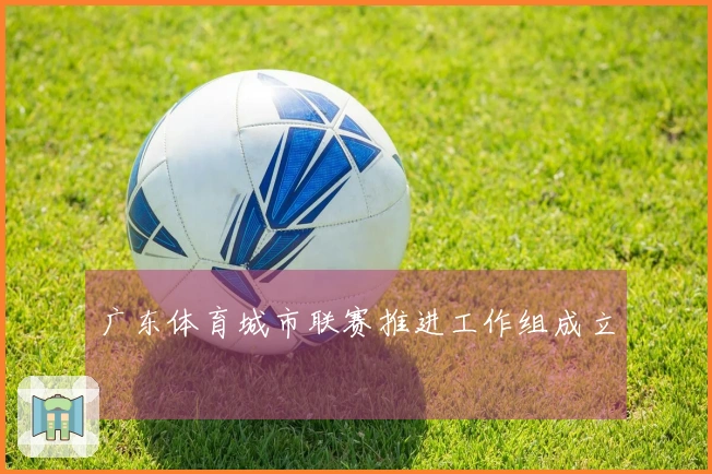 广东体育城市联赛推进工作组成立