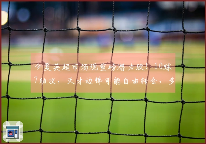今夏英超市场现重磅潜力股！10球7助攻，天才边锋可能自由转会，多队争夺激烈