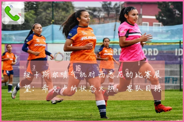 纽卡斯尔喷气机对西悉尼的比赛展望：希克卢纳状态火热，客队目标连胜